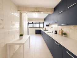 Blk 10 Holland Vista (Queenstown), HDB 4 Rooms #566678781